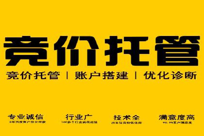sem推广竞价策略的五大要点及成功案例解读
